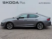 Octavia Top Selection