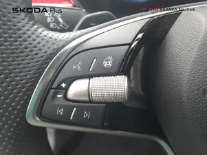 Škoda Fabia Monte Carlo