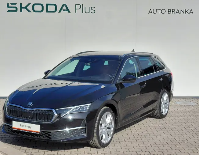 Octavia Exclusive Selection