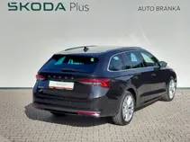 Octavia Exclusive Selection