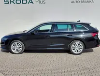 Octavia Exclusive Selection