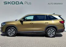 Kodiaq Exclusive Selection
