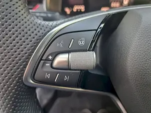 Škoda Kamiq Monte Carlo