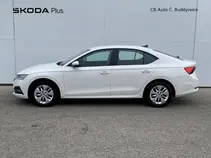 Octavia