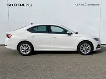 Octavia 