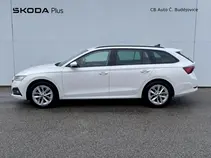 Octavia 