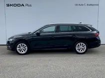 Octavia 