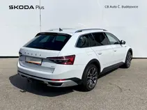 Superb