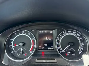 Škoda Rapid Monte Carlo