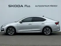 Octavia Exclusive Selection