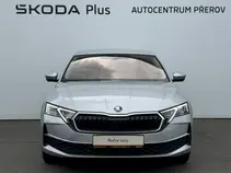 Octavia Exclusive Selection