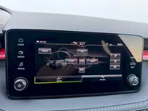 Fabia Monte Carlo