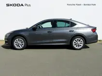 Octavia 