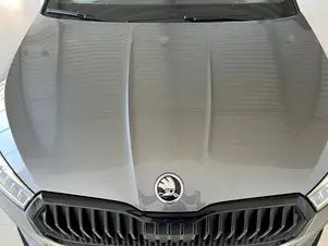 Škoda Fabia Monte Carlo