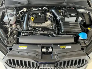 Škoda Fabia Monte Carlo