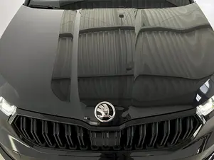 Škoda Kamiq Monte Carlo