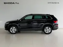 Kodiaq Style
