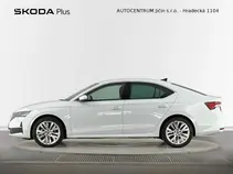 Octavia Exclusive Selection