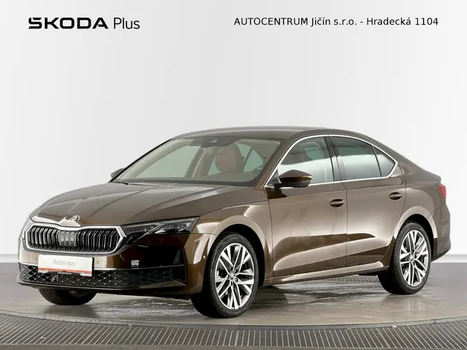 Octavia Exclusive Selection