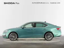 Octavia Exclusive Selection