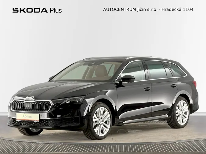 Octavia Exclusive Selection