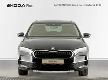 Octavia Exclusive Selection