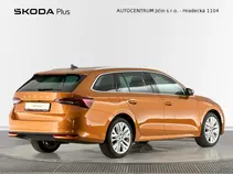 Octavia Exclusive Selection