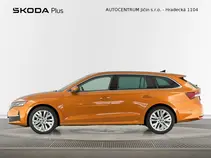 Octavia Exclusive Selection