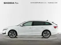 Octavia Exclusive Selection