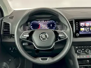 Škoda Karoq Top Selection
