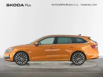Octavia Exclusive Selection