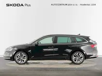 Octavia Exclusive Selection