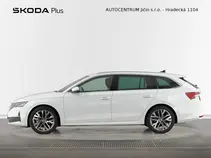 Octavia Exclusive Selection