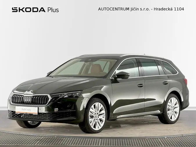 Octavia Exclusive Selection