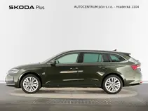 Octavia Exclusive Selection