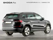 Kodiaq Ambition