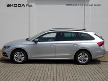 Octavia 