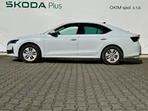 Octavia 