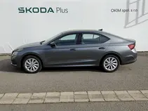 Octavia Ambition