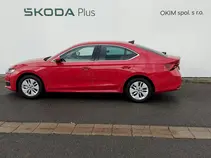 Octavia Top Selection