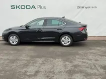 Octavia Top Selection