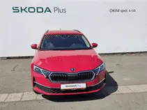 Octavia Top Selection