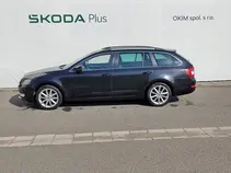 Octavia Elegance