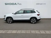 Karoq Style