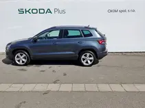 Karoq Style