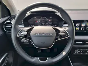 Škoda Fabia Top Selection