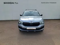 Kamiq Monte Carlo