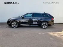 Octavia Exclusive Selection