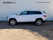Kodiaq Style