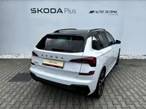 Kamiq Monte Carlo